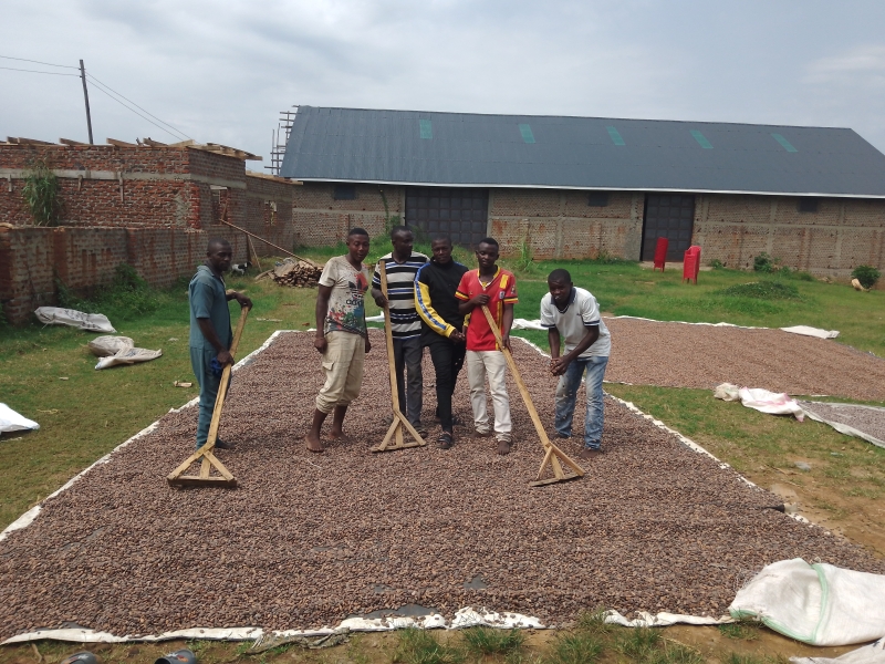 Increasing the adaptation and mitigation potential of cocoa farmers in Bundibugyo in Uganda