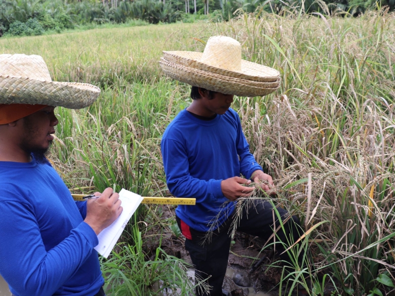 Resilient communities in the Philippines