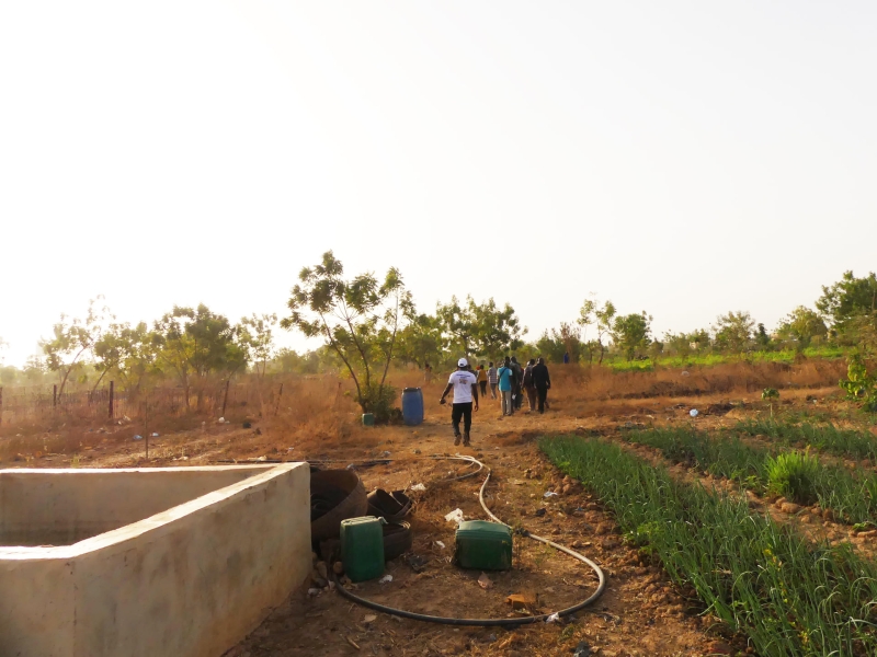 Protecting the Green Belt of Ouagadougou against climate change