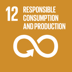 SDG 12 Responsable consumtion and production