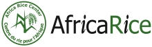 AfricaRice