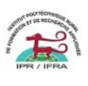 Log IPR/IFRA